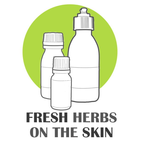 Crema Facial a Medida "Fresh Herbs on the Skin"